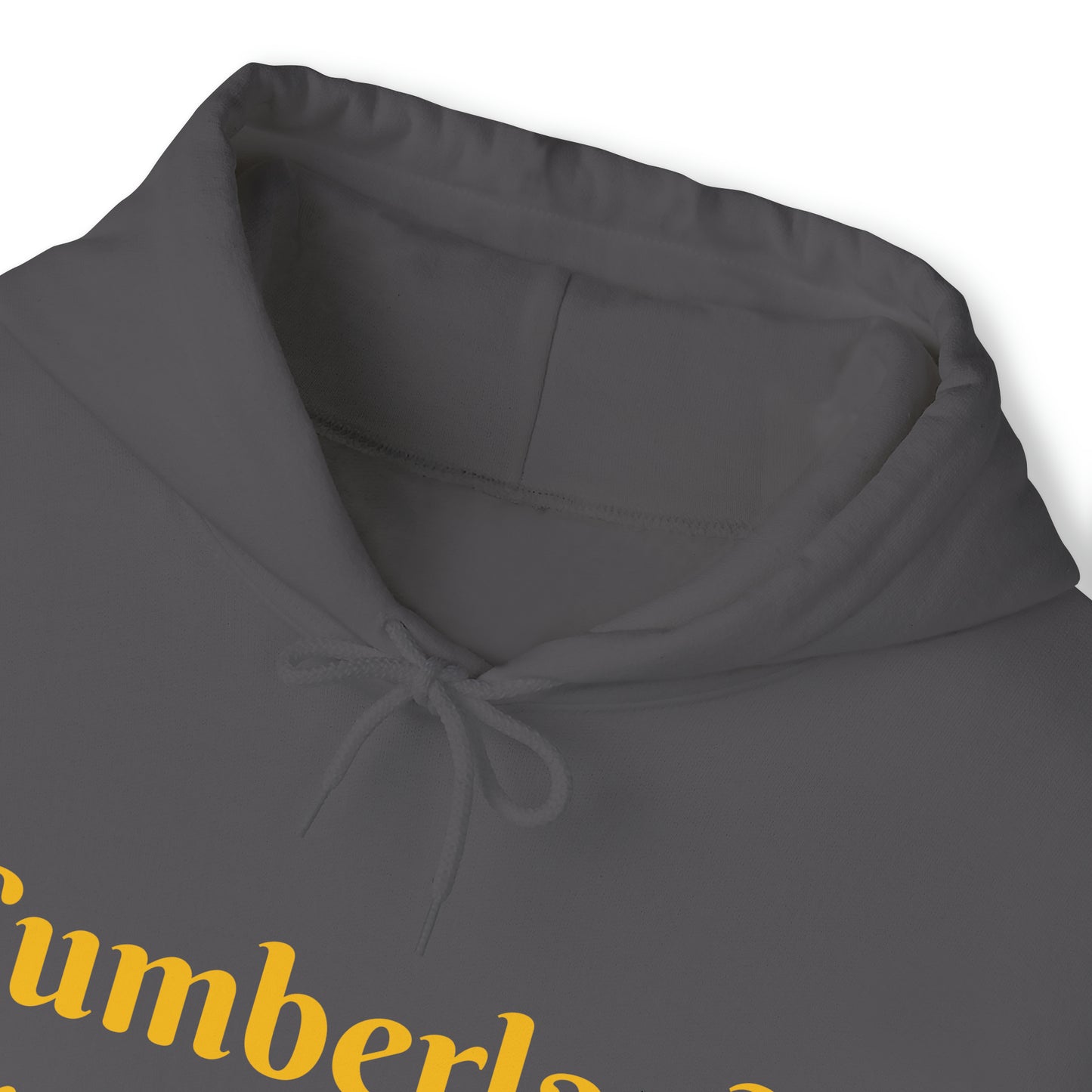 Cumberland Transportation Unisex Heavy Blend™ Hooded Sweatshirt