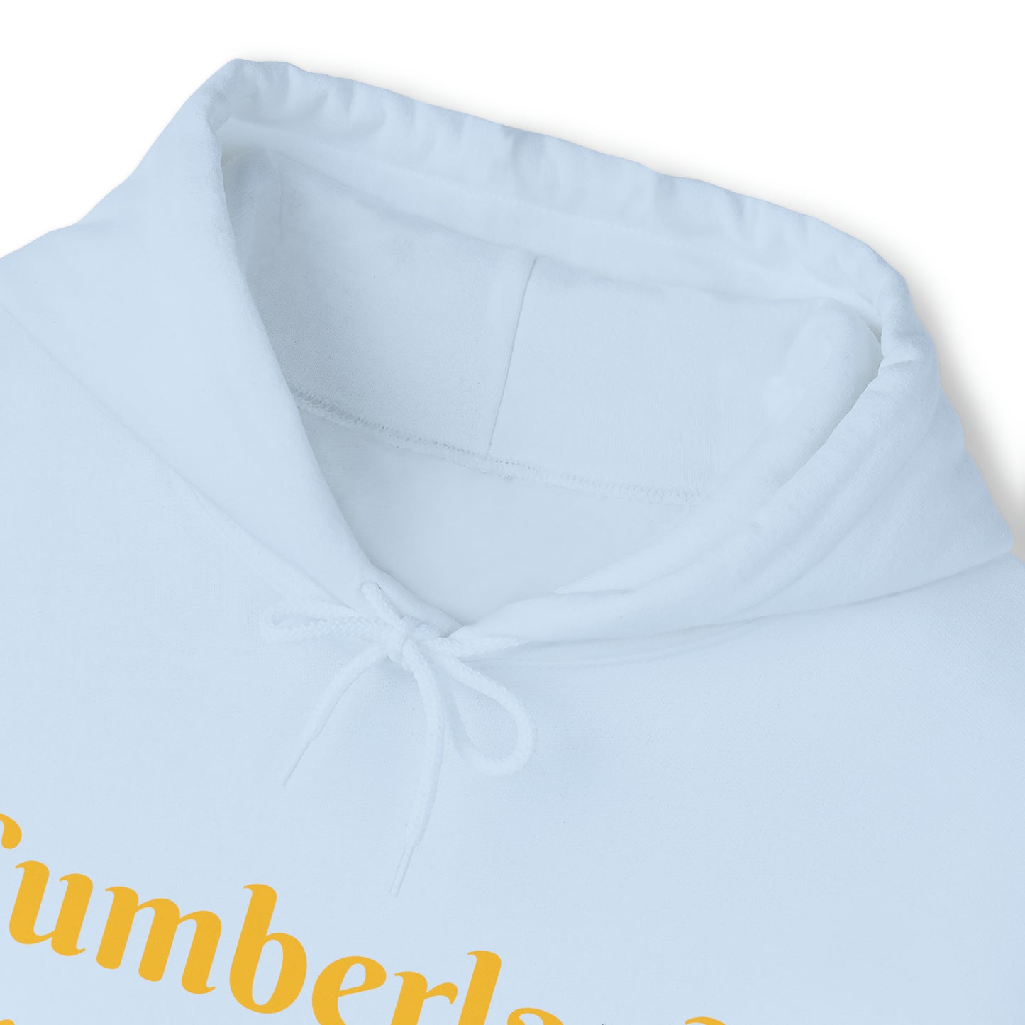 Cumberland Transportation Unisex Heavy Blend™ Hooded Sweatshirt