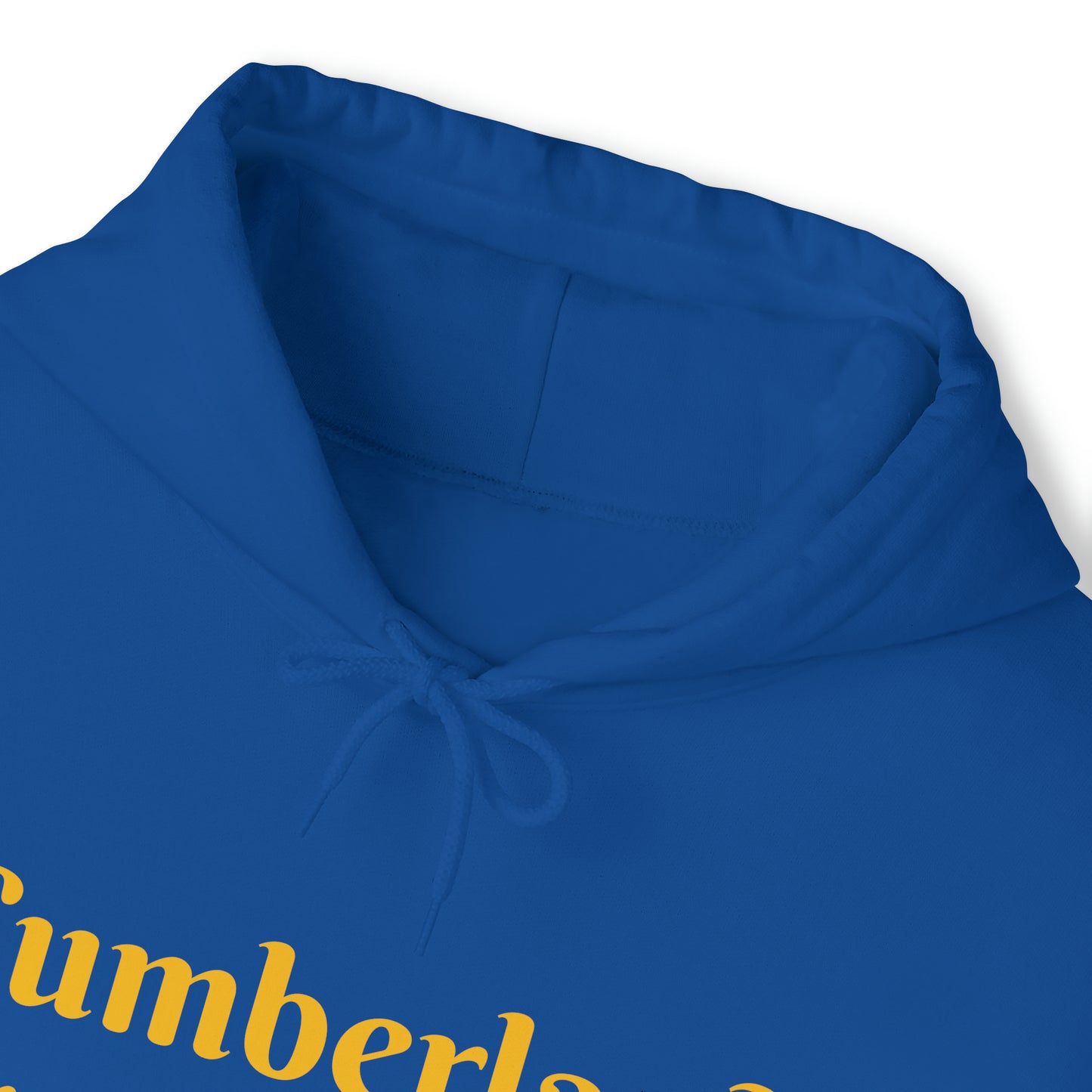 Cumberland Transportation Unisex Heavy Blend™ Hooded Sweatshirt