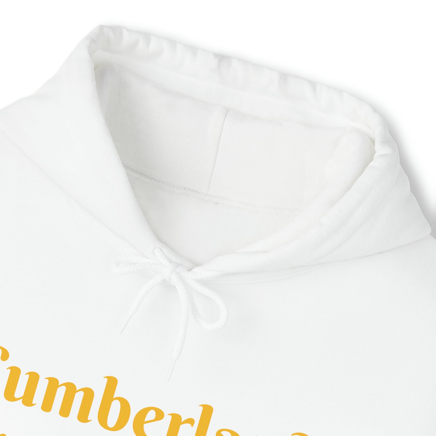 Cumberland Transportation Unisex Heavy Blend™ Hooded Sweatshirt