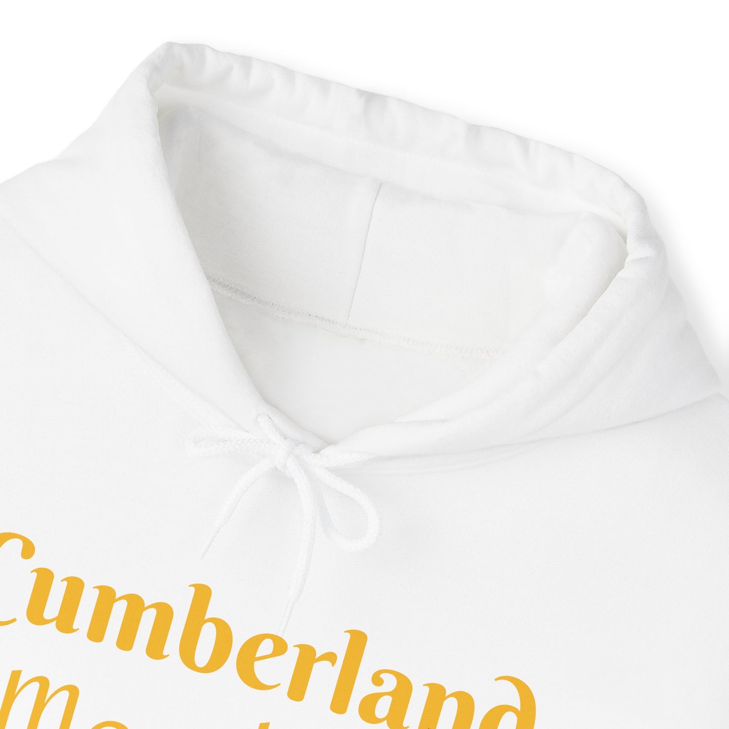 Cumberland Marching Band Dad Heavy Blend™ Hooded Sweatshirt