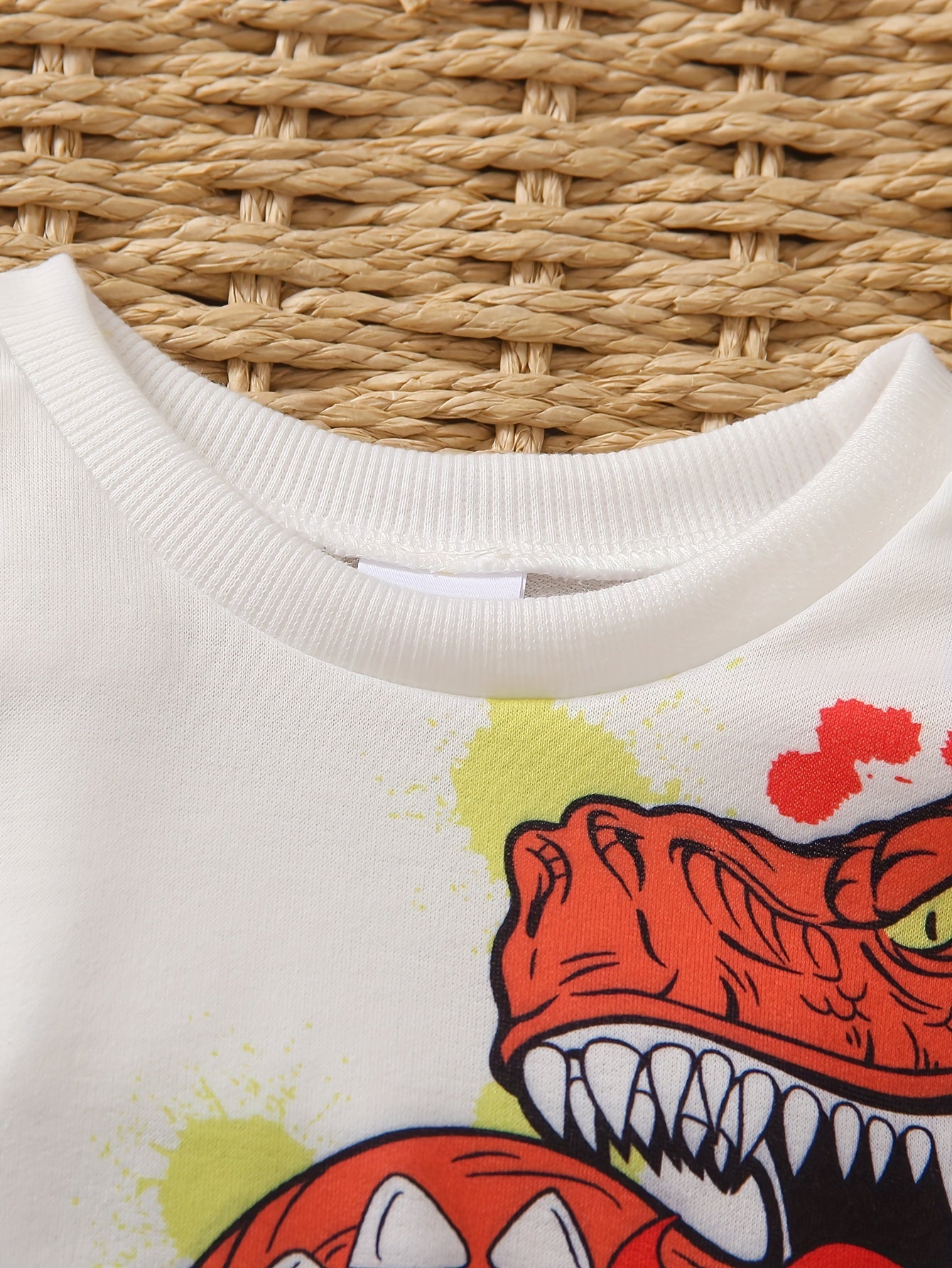 Baby Boys Cute Dinosaur Print Stitching Long Sleeve Sweatshirt Pants Matching Set, Kids Clothes