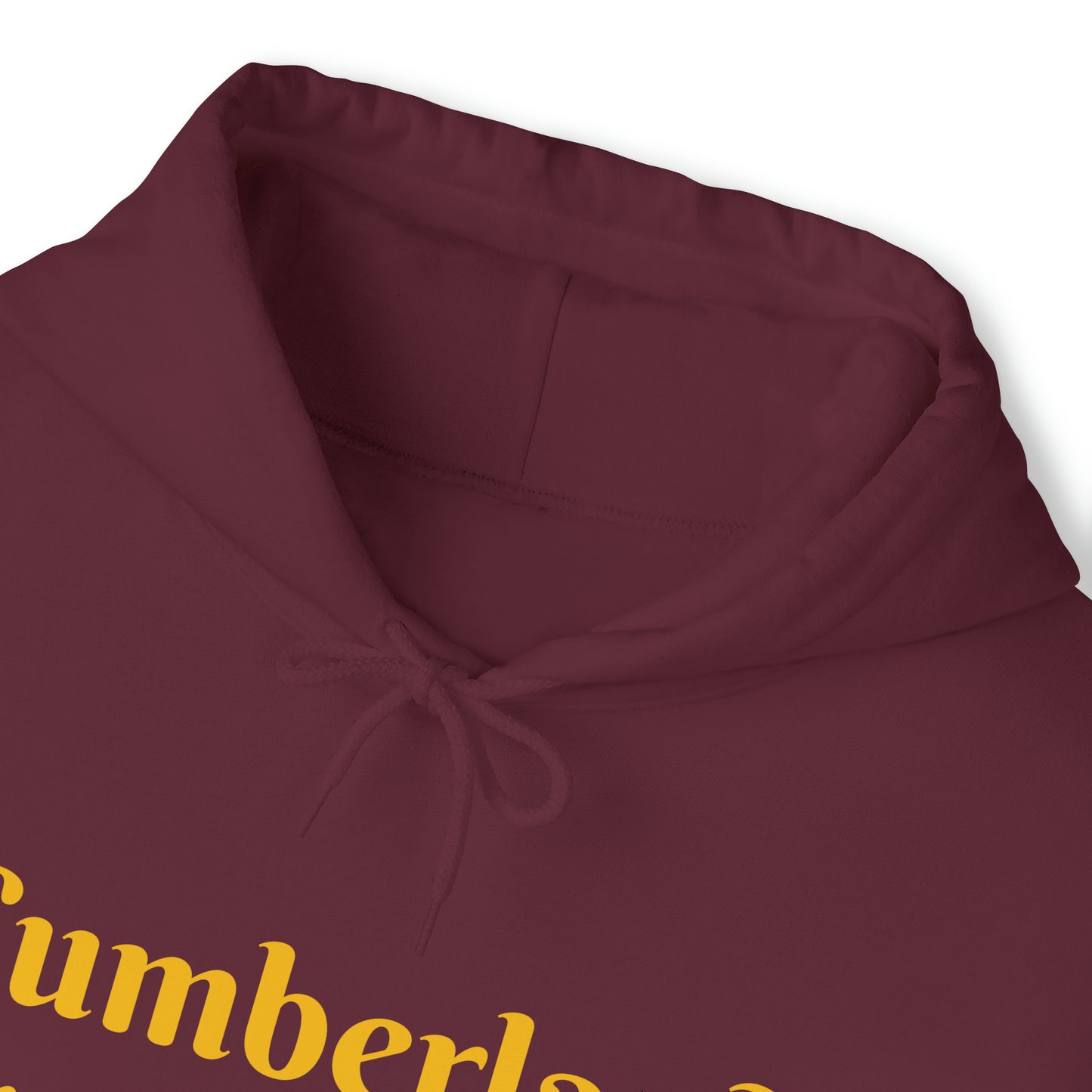 Cumberland Transportation Unisex Heavy Blend™ Hooded Sweatshirt