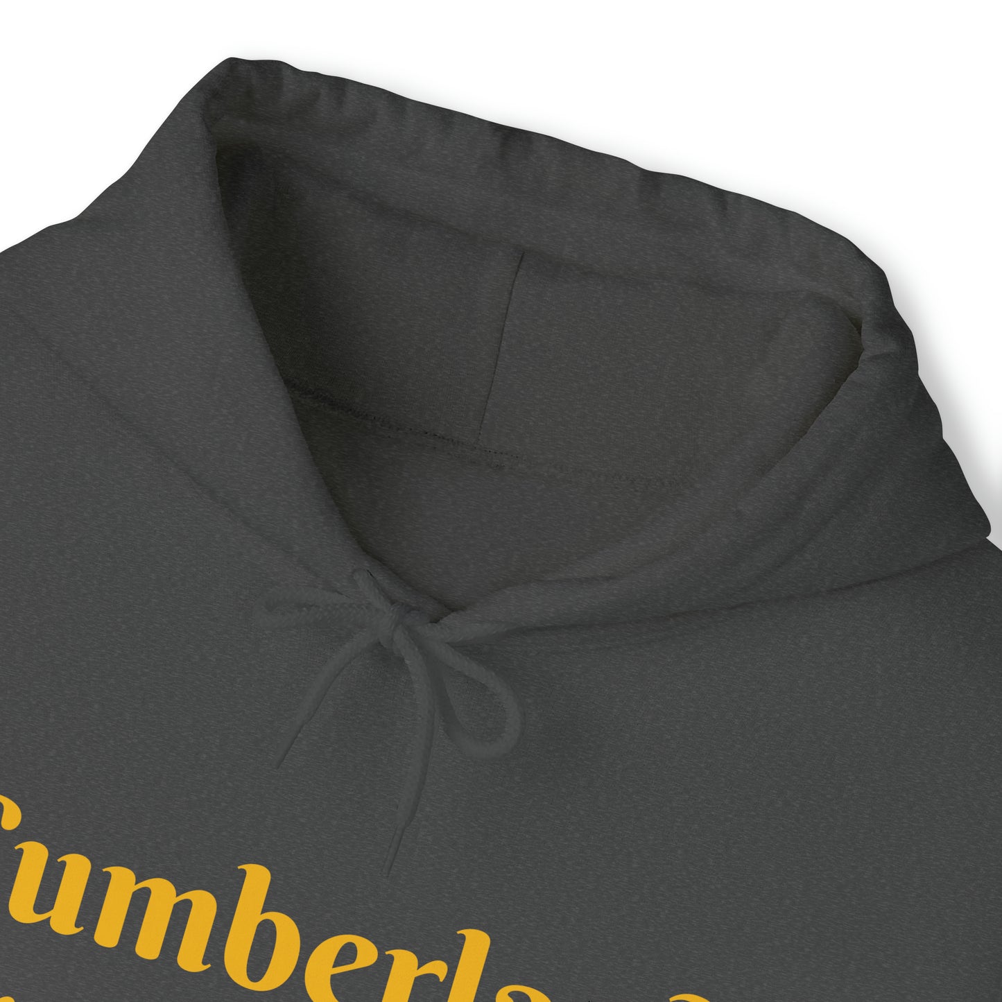Cumberland Transportation Unisex Heavy Blend™ Hooded Sweatshirt