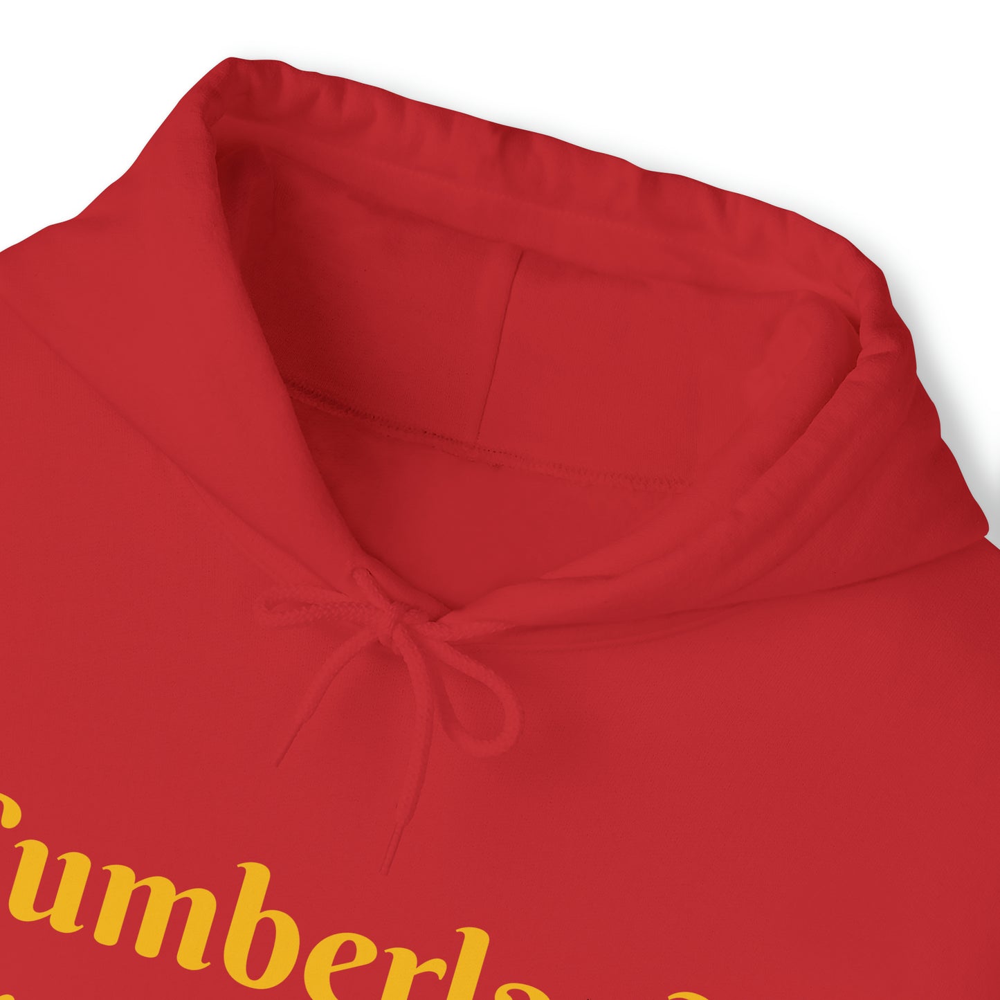 Cumberland Transportation Unisex Heavy Blend™ Hooded Sweatshirt
